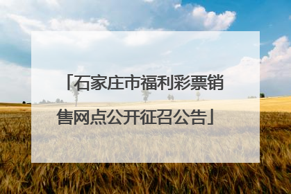 石家庄市福利彩票销售网点公开征召公告