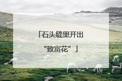 石头缝里开出“致富花”