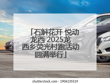 石斛花开 悦动龙西 2025龙西乡荧光村跑活动圆满举行