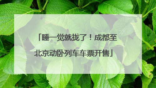 睡一觉就拢了！成都至北京动卧列车车票开售