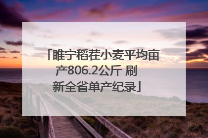 睢宁稻茬小麦平均亩产806.2公斤 刷新全省单产纪录