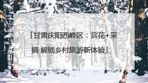 甘肃庆阳西峰区：赏花+采摘 解锁乡村旅游新体验