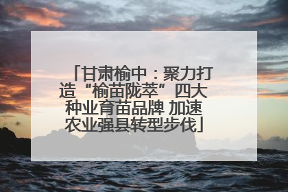 甘肃榆中：聚力打造“榆苗陇萃”四大种业育苗品牌 加速农业强县转型步伐