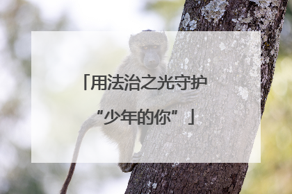 用法治之光守护“少年的你”
