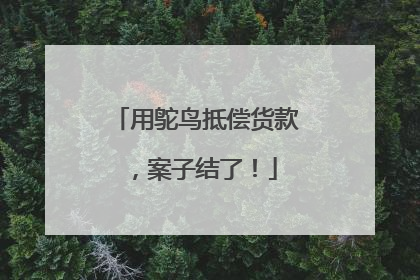 用鸵鸟抵偿货款，案子结了！