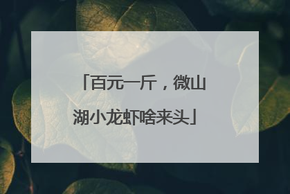 百元一斤，微山湖小龙虾啥来头