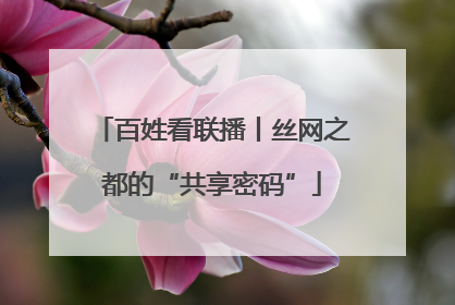 百姓看联播丨丝网之都的“共享密码”