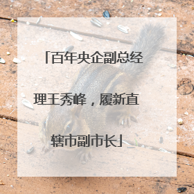 百年央企副总经理王秀峰，履新直辖市副市长