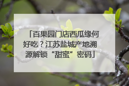 百果园门店西瓜缘何好吃？江苏盐城产地溯源解锁“甜蜜”密码