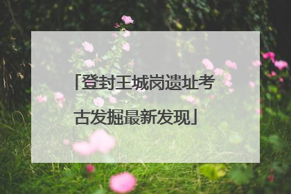 登封王城岗遗址考古发掘最新发现