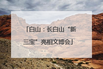 白山：长白山“新三宝”亮相文博会