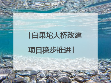 白果坨大桥改建项目稳步推进