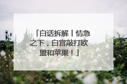 白话拆解丨情急之下，白宫敲打欧盟和苹果！