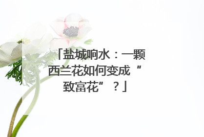 盐城响水：一颗西兰花如何变成“致富花”？