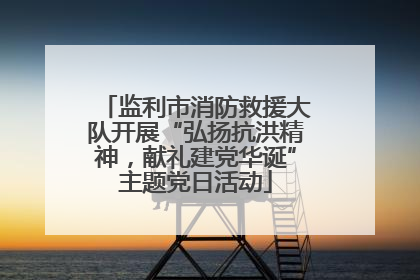 监利市消防救援大队开展“弘扬抗洪精神，献礼建党华诞”主题党日活动