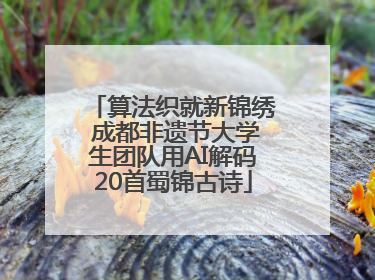 算法织就新锦绣 成都非遗节大学生团队用AI解码20首蜀锦古诗