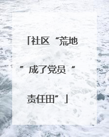 社区“荒地”成了党员“责任田”