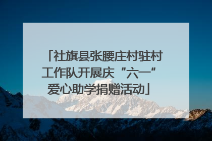 社旗县张腰庄村驻村工作队开展庆“六一”爱心助学捐赠活动