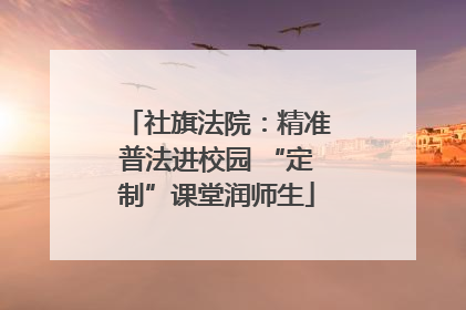 社旗法院：精准普法进校园 “定制”课堂润师生