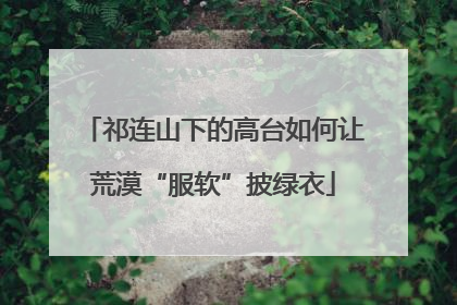 祁连山下的高台如何让荒漠“服软”披绿衣