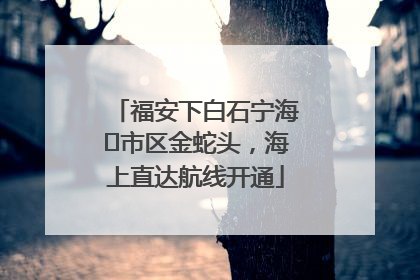 福安下白石宁海⇆市区金蛇头，海上直达航线开通
