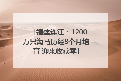 福建连江：1200万只海马历经8个月培育 迎来收获季
