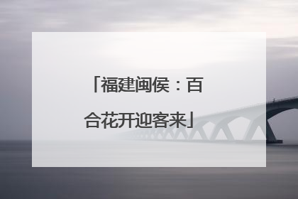 福建闽侯：百合花开迎客来