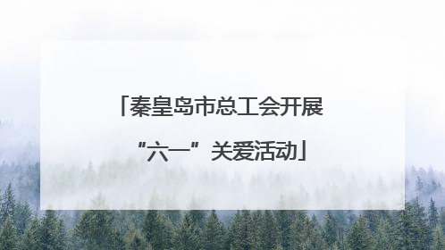 秦皇岛市总工会开展“六一”关爱活动