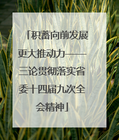 积蓄向前发展更大推动力——三论贯彻落实省委十四届九次全会精神