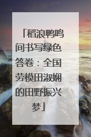 稻浪鸭鸣间书写绿色答卷：全国劳模田淑娴的田野振兴梦