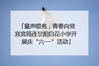 童声嘹亮，青春向党 宜宾筠连景阳白花小学开展庆“六·一”活动