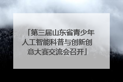 第三届山东省青少年人工智能科普与创新创意大赛交流会召开