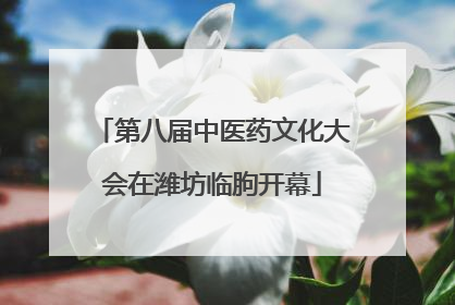 第八届中医药文化大会在潍坊临朐开幕