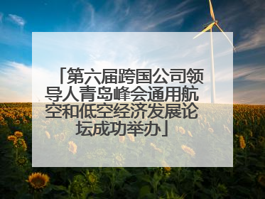 第六届跨国公司领导人青岛峰会通用航空和低空经济发展论坛成功举办