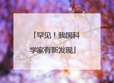 罕见！我国科学家有新发现