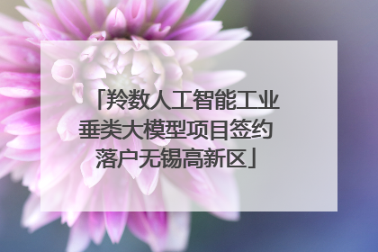 羚数人工智能工业垂类大模型项目签约落户无锡高新区
