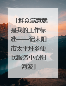 群众满意就是我的工作标准——记耒阳市太平圩乡便民服务中心阳海波