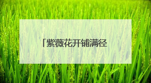 紫薇花开铺满径 诗画交融醉游人