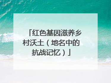 红色基因滋养乡村沃土（地名中的抗战记忆）