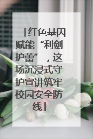 红色基因赋能“利剑护蕾”，这场沉浸式守护宣讲筑牢校园安全防线
