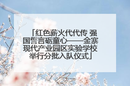 红色薪火代代传 强国誓言砺童心——金寨现代产业园区实验学校举行分批入队仪式