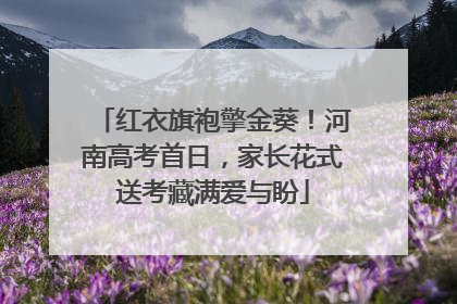 红衣旗袍擎金葵！河南高考首日，家长花式送考藏满爱与盼