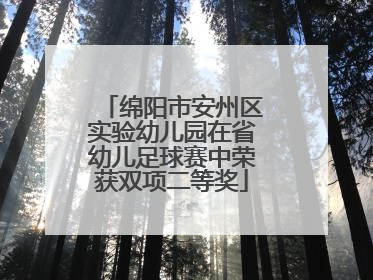 绵阳市安州区实验幼儿园在省幼儿足球赛中荣获双项二等奖
