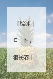 综述｜C一下，很长春
