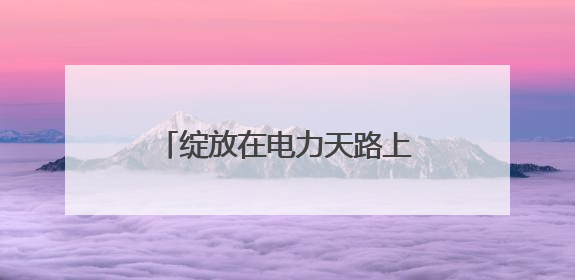 绽放在电力天路上的“雪域格桑花”