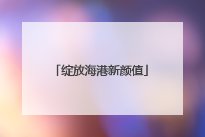 绽放海港新颜值