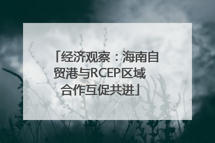 经济观察：海南自贸港与RCEP区域合作互促共进