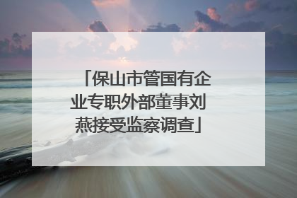 保山市管国有企业专职外部董事刘燕接受监察调查
