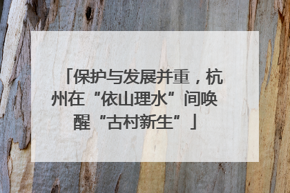 保护与发展并重，杭州在“依山理水”间唤醒“古村新生”