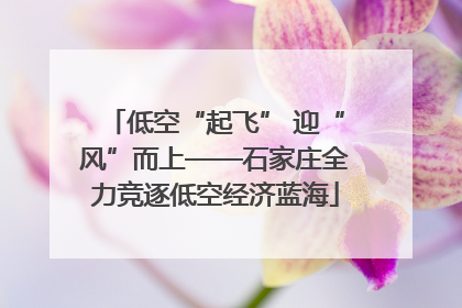 低空“起飞” 迎“风”而上——石家庄全力竞逐低空经济蓝海